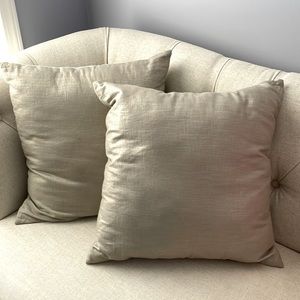 Pier 1 Champagne Pillows- Set of 2